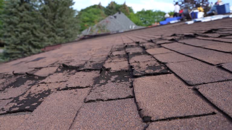 Best Roof Leak Repair  in Pampa, TX