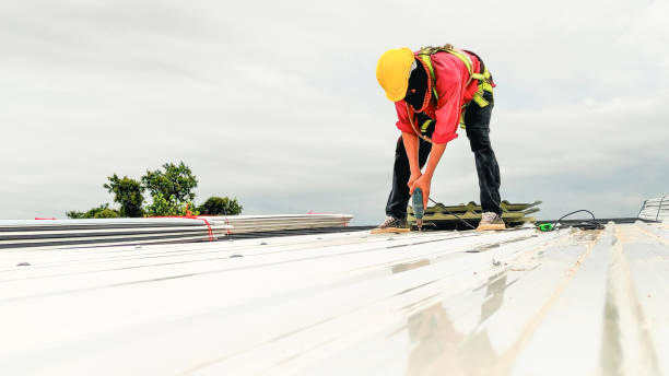 Fast & Reliable Emergency Roof Repairs in Pampa, TX